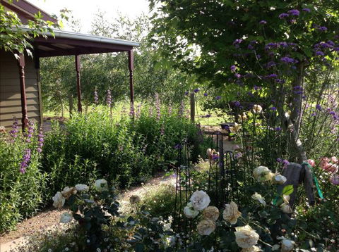 Wandana Bed And Breakfast - New Castle Holiday 0