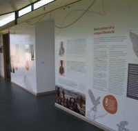 Whitestone Apartments - New Castle Holiday