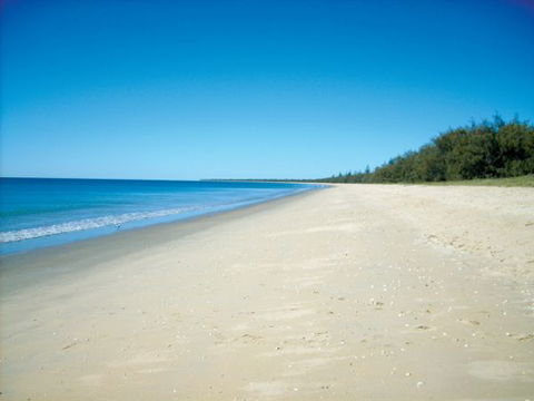 Woodgate Beach Tourist Park - New Castle Holiday 0