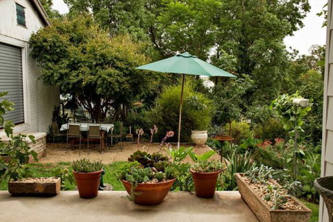 Young Garden Retreat - New Castle Holiday 4