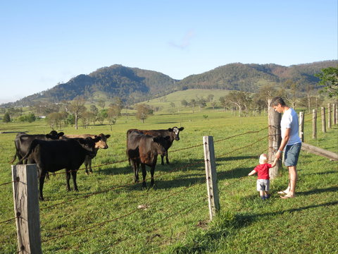 Barrington Hideaway- River Cottages - New Castle Holiday 6