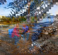 Benarca campground - New Castle Holiday