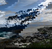 Binalong Bay Beach Shack - New Castle Holiday