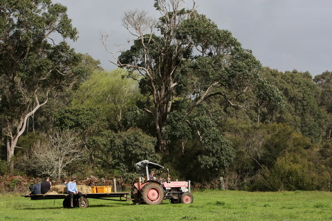 Boronia Farm - New Castle Holiday 0