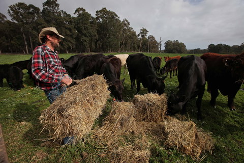 Boronia Farm - New Castle Holiday 5