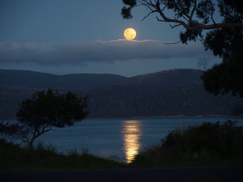 Burilda Waters - New Castle Holiday 4