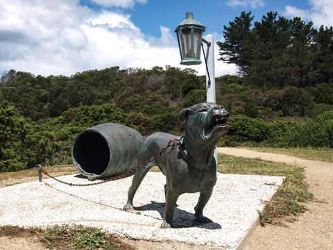 Burilda Waters - New Castle Holiday 8