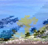 Crayfish Beach Hook Island - New Castle Holiday