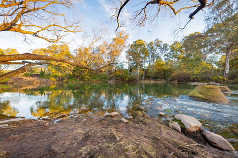 Eildon Riverside Holiday Park - New Castle Holiday 8