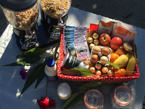 Fig Tree Retro Studio - New Castle Holiday 2