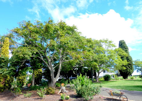 Forest Lodge Highfields - New Castle Holiday 3