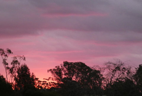 Forest Lodge Highfields - New Castle Holiday 4