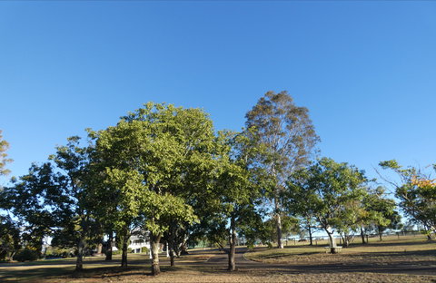 Forest Lodge Highfields - New Castle Holiday 6