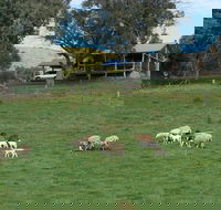 Gaddleen Grove Cottages - New Castle Holiday