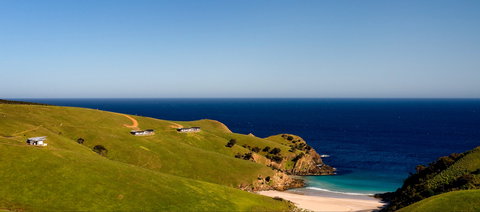 Headland On Kangaroo Beach - New Castle Holiday 5