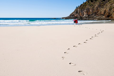 Headland On Kangaroo Beach - New Castle Holiday 6
