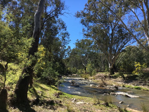 Highfield Farm And Woodland Bush Campsites - New Castle Holiday 0