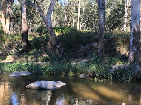 Highfield Farm And Woodland Bush Campsites - New Castle Holiday 1