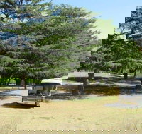 Joe O'Connor Park - New Castle Holiday