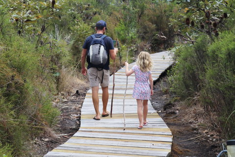 Kingfisher Bay Resort - New Castle Holiday 7