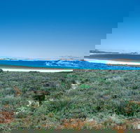 Lucky Bay Campground at Cape Le Grand National Park - New Castle Holiday