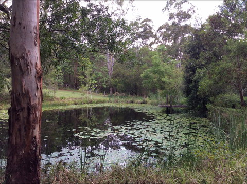 Maleny Country Cottages - New Castle Holiday 3