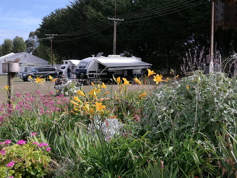Millicent Showground RV Park - New Castle Holiday 0