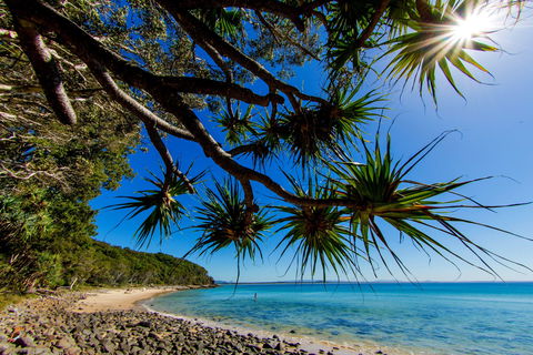 Noosa Caravan Park - New Castle Holiday 2