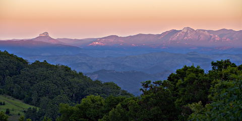 O'Reilly's Rainforest Retreat - New Castle Holiday 1