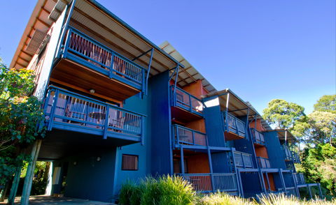 O'Reilly's Rainforest Retreat - New Castle Holiday 7
