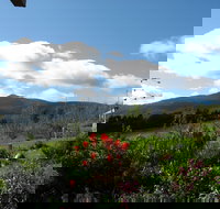 Plovers Ridge Country Retreat - New Castle Holiday