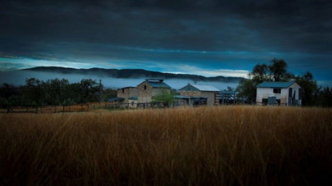 Roseneath  Farm Stay - New Castle Holiday 3