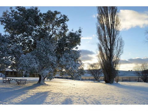 Snowy Mountains Resort - New Castle Holiday 0