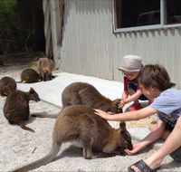 The Patriarch Wildlife Sanctuary Camping Ground - New Castle Holiday