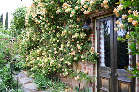 The Heritage Garden - New Castle Holiday 3