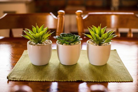 The Creek Cottage - New Castle Holiday 8