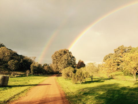 Wildwood Guesthouse - New Castle Holiday 4