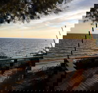 Albarino - New Castle Holiday