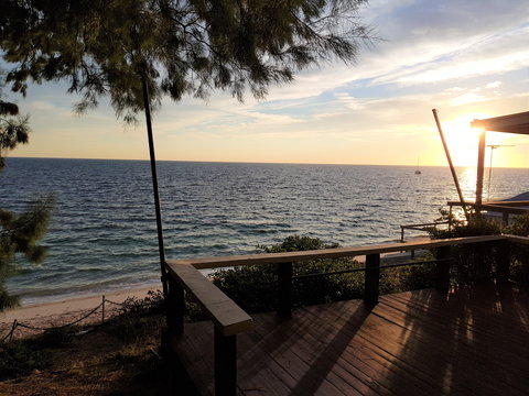 Albarino - New Castle Holiday 0