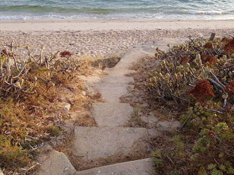 Albarino - New Castle Holiday 1