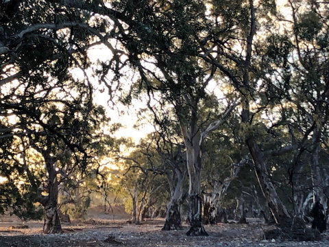 Almerta Station - New Castle Holiday 6