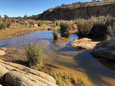 Almerta Station - New Castle Holiday 7