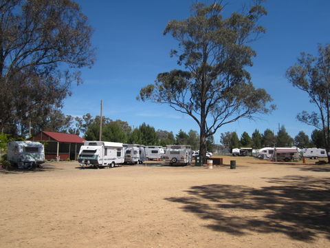 Ariah Park Camping Ground - New Castle Holiday 2