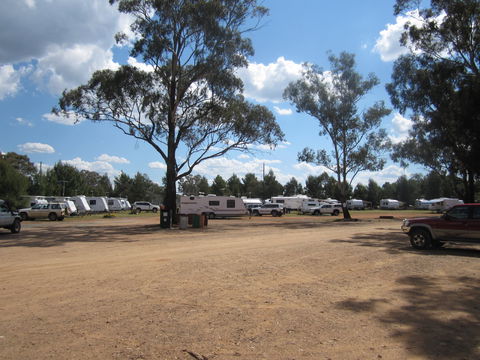 Ariah Park Camping Ground - New Castle Holiday 4