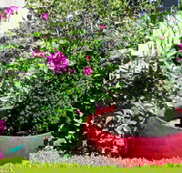 Armidale Pines Motel - New Castle Holiday