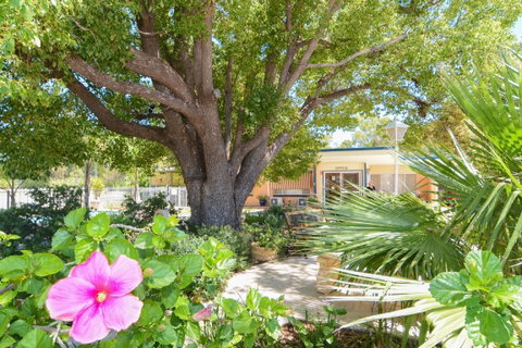 Balranald Sturt Motel - New Castle Holiday 0
