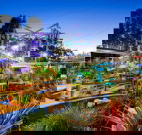 BIG4 Traralgon Park Lane Holiday Park - New Castle Holiday