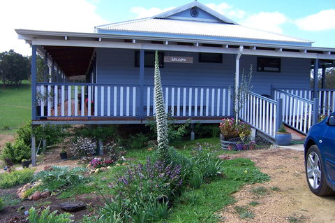 Blue House Bed And Breakfast - New Castle Holiday 4