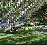 Chaelundi campground - New Castle Holiday