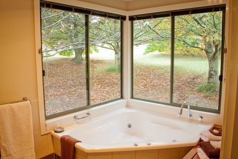 Chestnut Glade - New Castle Holiday 4